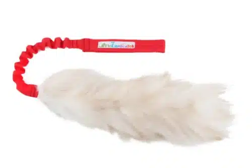 Floramicato Fluffy Tail