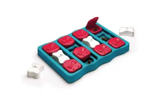 Nina Ottosson® Dog Brick (Level 2)