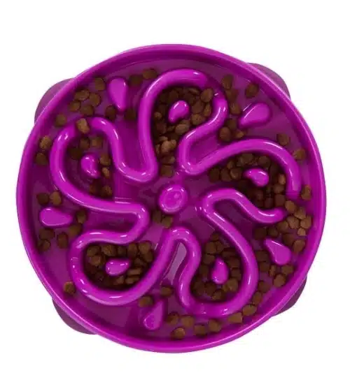 Fun Feeder Slo Bowl
